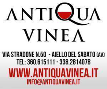 Antiqua Vinea